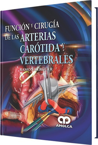 Función Y Cirugía De Las Arterias Carótida Y Vertebrales