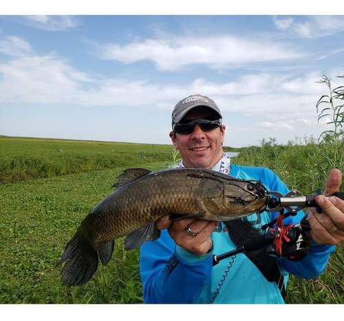 Señuelo Pesca Cranck Con Rattling Sub Superficie Tarariras Color Amarillo