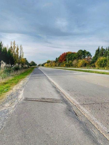 Quinta En Venta En Brandsen | Ruta 215-km.35,5 (brandsen) Quinta (10.6 Has)
