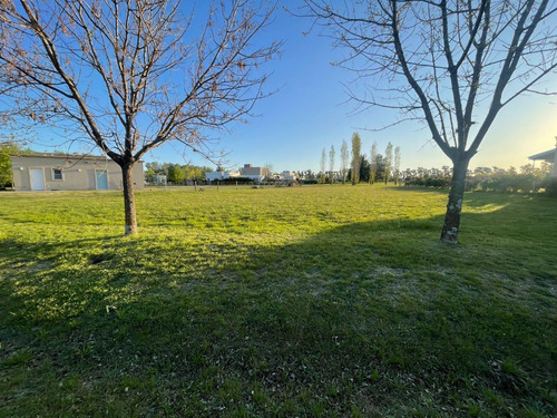 Lote En Venta En Barrio Cerrado Los Palenques, Manzanares - Apto Credito