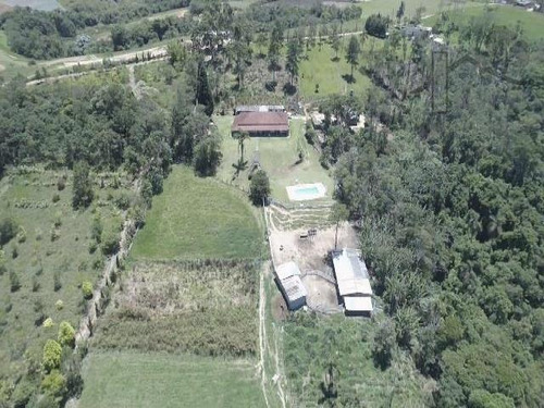 Cód 3290 - Lindo Sitio Com 40.000 M² De Terreno - 3290