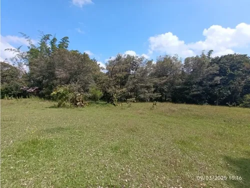 Vendo Lote En Llano Grande Vereda Cabeceras De 6.307 M² Sobre Vía