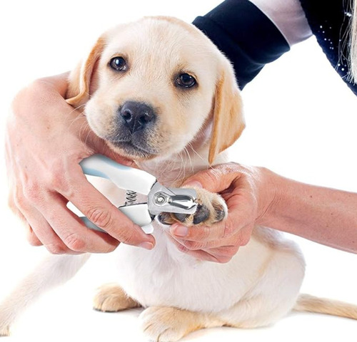 Tijeras Uñas + Pulidor De Garras Higiene Aseo Para Mascotas