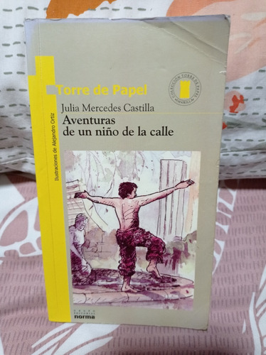 Aventuras De Un Niño De La Calle  - Julia Mercedes