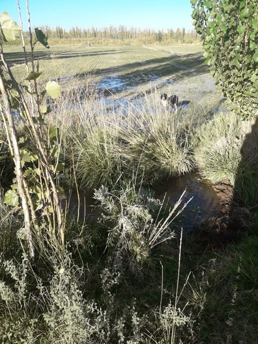 Imagen 10 de 10 de Venta O Permuta 25 Hectáres 25 De Mayo La Pampa