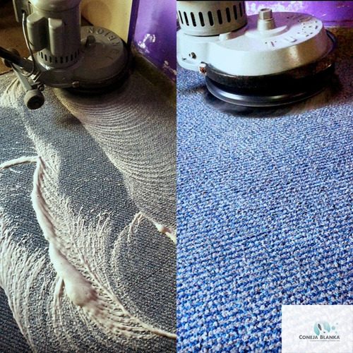 Imagen 2 de 5 de Limpieza Alfombras Sillones Colchones