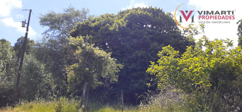 Venta De Terreno De 15 Ha. En Caulín Alto, Comuna De Ancud