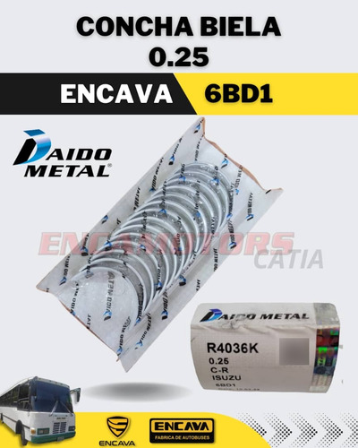 Concha Biela 0.25 Encava 6bd1, Daido Metal