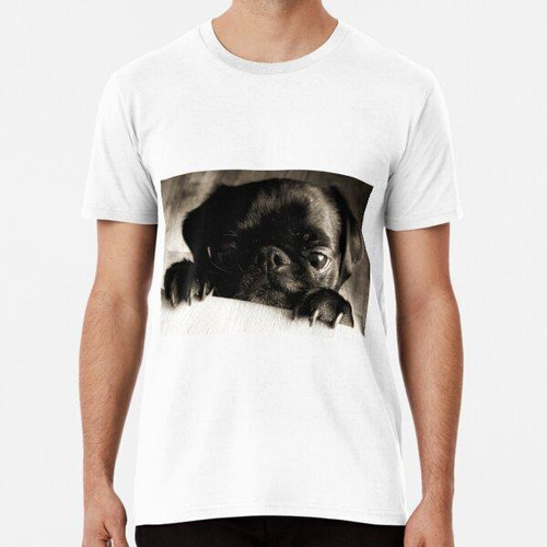 Remera Photo - Dog - Dog Breeds - Pug, Carlino - 5 - 1 - 1 -