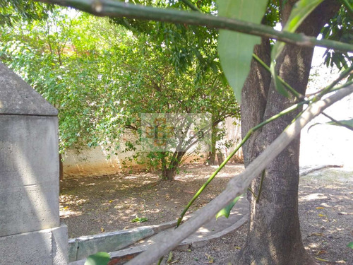 Imagem 9 de 10 de Terreno: Vila Hortência / Sorocaba - V17338