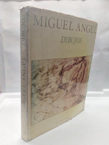 Miguel Angel Dibujos