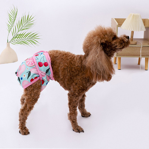 Pantalones Fisiológicos Para Perros, Transpirables Y De Rápi