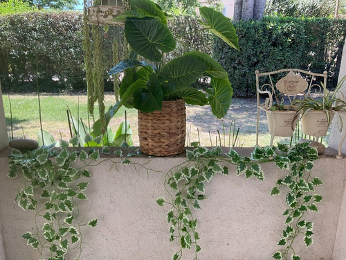 Imagen 6 de 10 de Planta Colgante Artificial Jardin Vertical Hiedra Pack X2