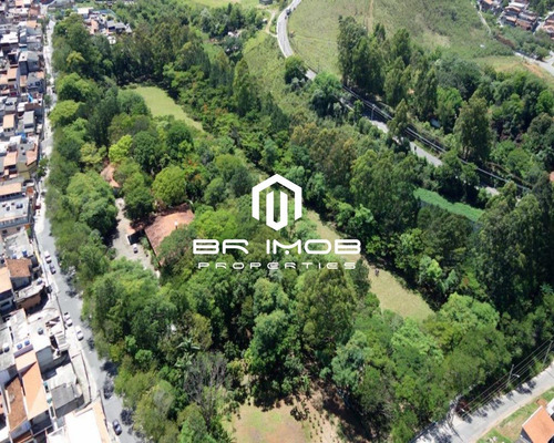 Imagem 4 de 5 de Terreno - Te00019 - 70442531