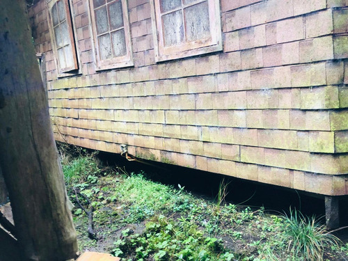 Parcela Parque Tepuhueico, Comuna De Chonchi . Chiloé