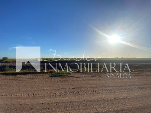 Terreno Agrícola En Santa Rosa Ahome, Sinaloa