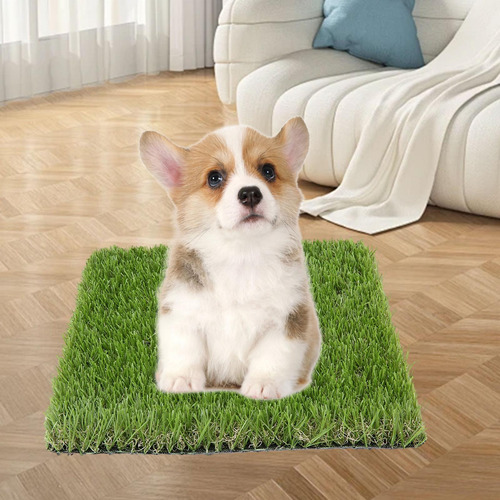 Almohadilla Para Orinar De Cachorro, 3 Cm De Altura