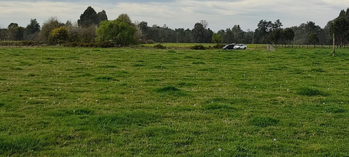 Imagen 9 de 11 de Predio Agrícola 1,5 Ha En Quema Del Buey A 38 Km De Osorno
