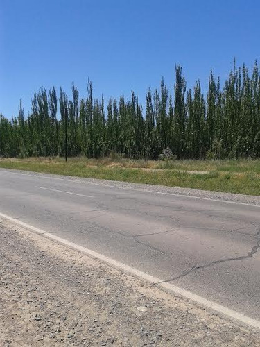 Imagen 7 de 9 de Terreno - Añelo