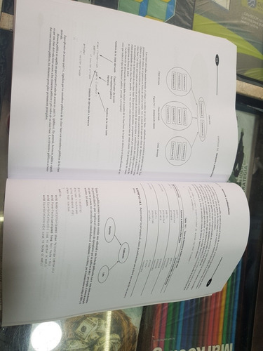 Libro Programacion En C++ Luis Joyanes (schaum)