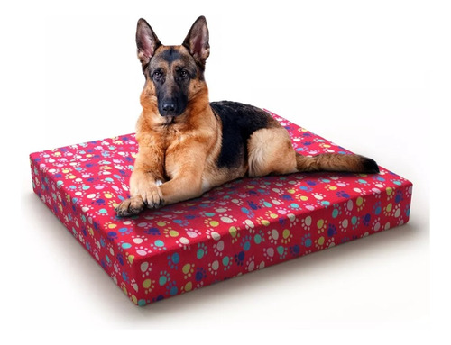 Cama De Perro De Memory Foam Grande Con Funda Lavable 