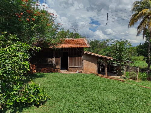 Imagem 4 de 8 de Sítio De 7,5 Alqueires Para Cana Entre Orindiuva E Paulo De Faria