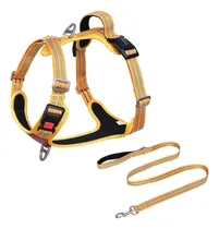 Comprar Petmolico Juego De Correa Para Arnés De Perro Sin Tirones, C