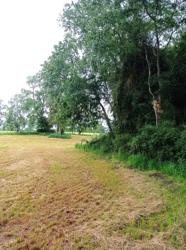 Venta Hermosa Parcela En Sector Rofuco Alto, La Unión