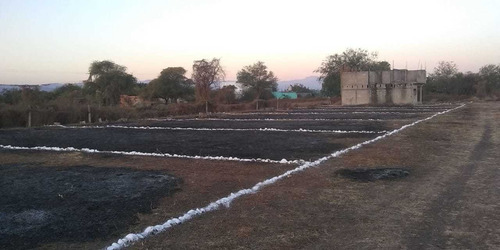Imagen 5 de 14 de Terrenos En El Centro De Tequesquitengo Facilidades De Pago