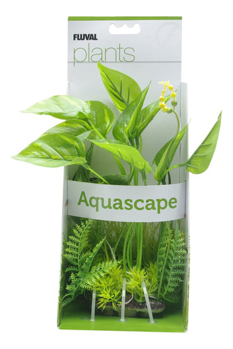 Fluval Planta Anubias Veteado Por Un Acuario, De 9,5 Pulgada