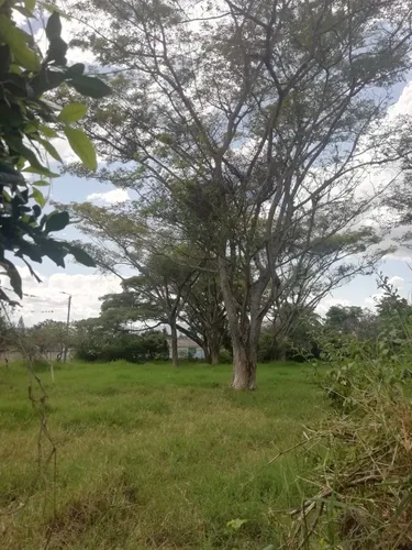 Se Vende Hermoso Lote En Chinauta