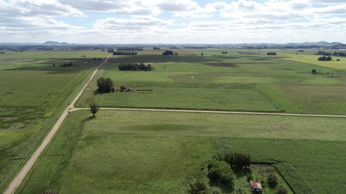 Imagen 7 de 30 de Quinta De 8 Has. A 1.800 Mts Ruta 226 - 100 % Agrícola