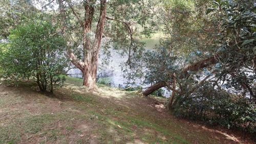 Imagen 24 de 24 de Finca En La Vía San Antonio - La Ceja