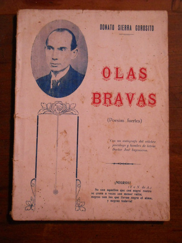 Olas Bravas. Donato Sierra Gorosito.