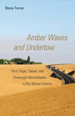 Libro Amber Waves And Undertow - Steve Turner