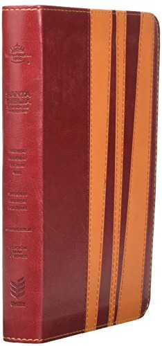 Libro : Santa Biblia De Promesas Reina-valera 1960 / Edicio