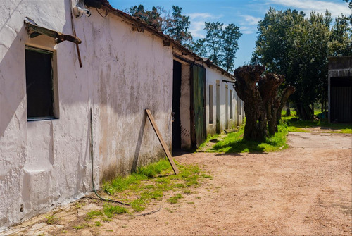 Venta Chacra 28 Ha Abayuba Arroyo Y 2 Tajamares C.rigel