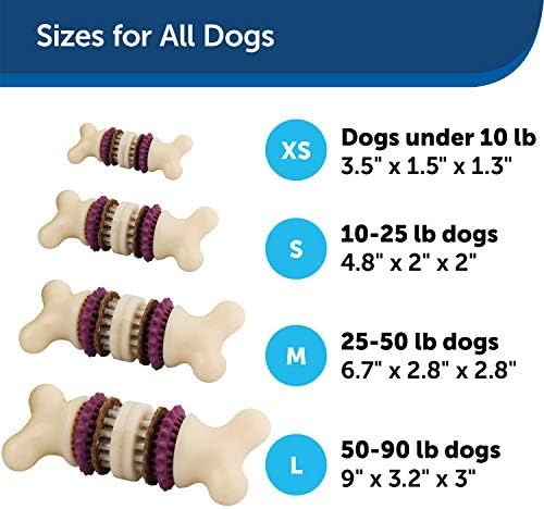 Petsafe Busy Buddy Bristle Bone - Juguete Para Sujetar Golos
