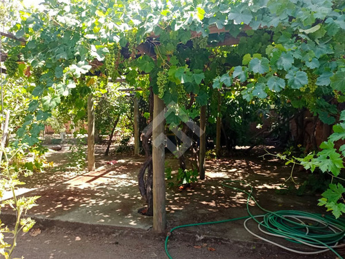 Casa En Venta De 3 Dorm. En Olmué