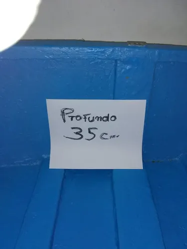 Bote