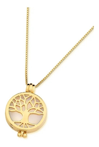 Combo Secret Coins Com Pedras Naturais Brasileiras