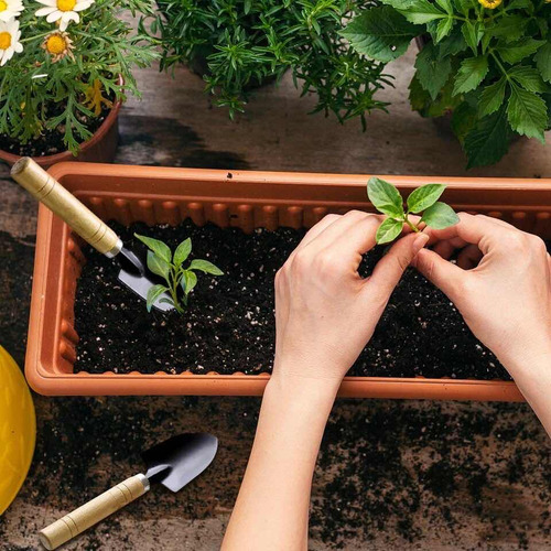 Set De 3 Herramientas Para Jardín Huerto Plantas Jardinería