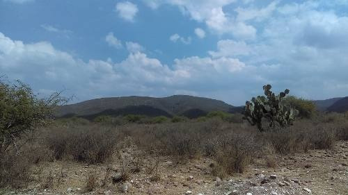 Imagen 11 de 13 de Macrolote En Venta Para Desarrolladores En Tequisquiapan, Querétaro.