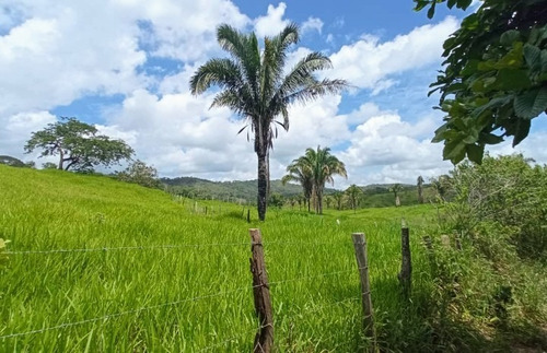 Imagen 2 de 30 de Vendo Finca En Tocuyito Vía Cachinche ( Dt )