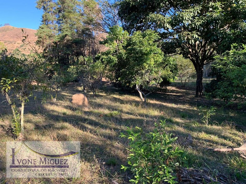 Imagem 12 de 15 de Sítio Em Maravilha - Paty Do Alferes - 3041