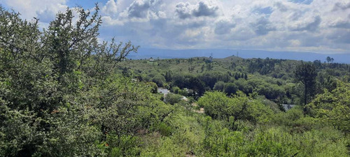 Imagen 9 de 14 de Oportunidad!espectacular Frac. 4.1 Ha. Ideal Turistico!! 486