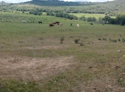 Venta Campo De Sierra En Maldonado