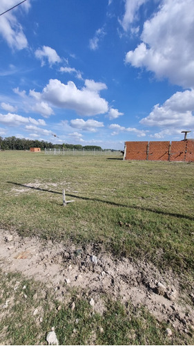 Terreno En Venta En Domselaar. Oportunidad