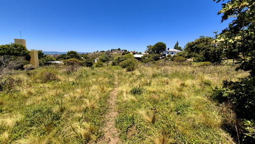 Hermoso Terreno En El Durazno (tanti)