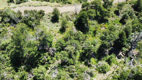 Terreno En Nuevo Kaleuche.